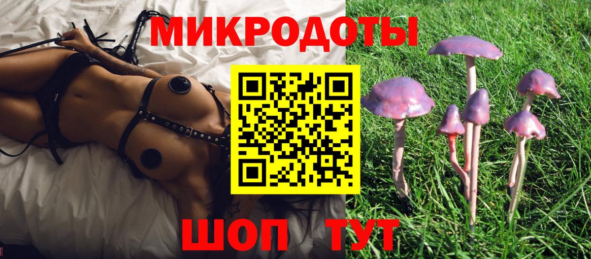 Псилоцибиновые грибы Magic Shrooms  Вход с VPN  Мегион 