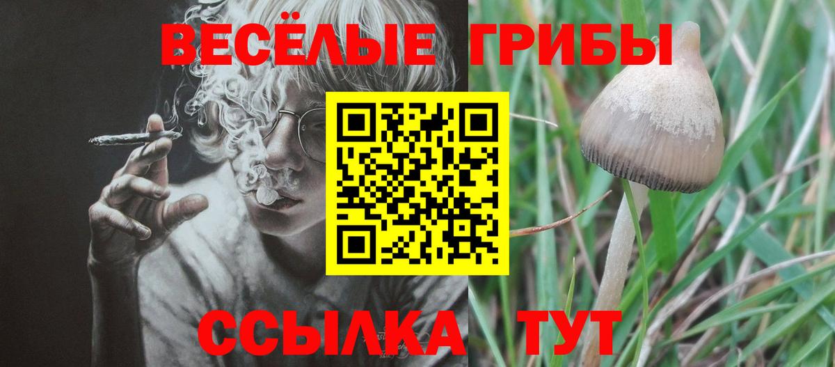 Галлюциногенные грибы прущие грибы Мегион